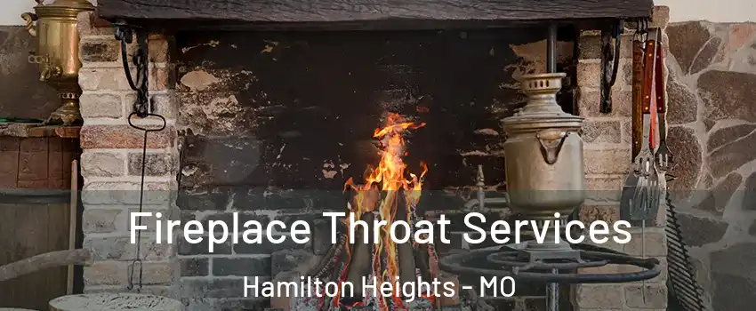 Fireplace Throat Services Hamilton Heights - MO