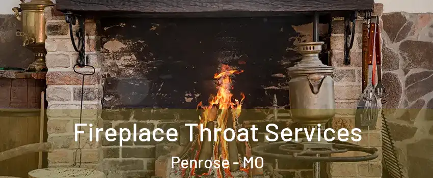 Fireplace Throat Services Penrose - MO