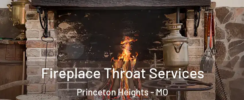 Fireplace Throat Services Princeton Heights - MO