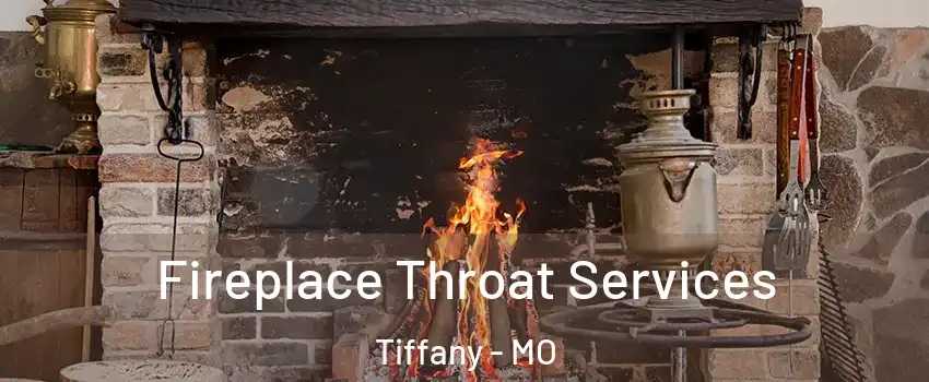 Fireplace Throat Services Tiffany - MO