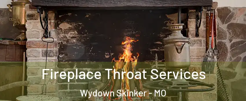 Fireplace Throat Services Wydown Skinker - MO