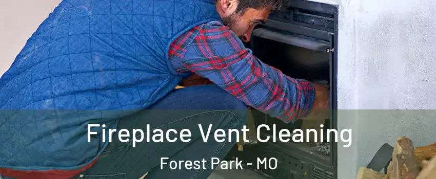 Fireplace Vent Cleaning Forest Park - MO