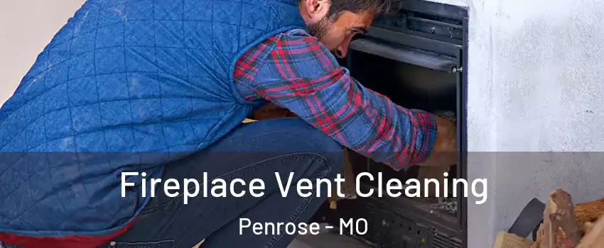 Fireplace Vent Cleaning Penrose - MO
