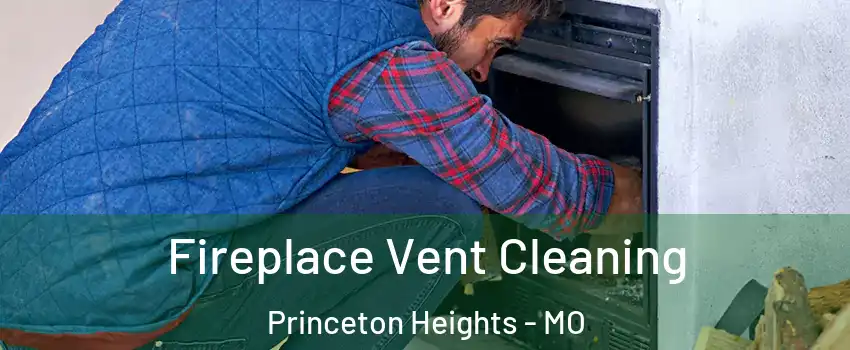 Fireplace Vent Cleaning Princeton Heights - MO