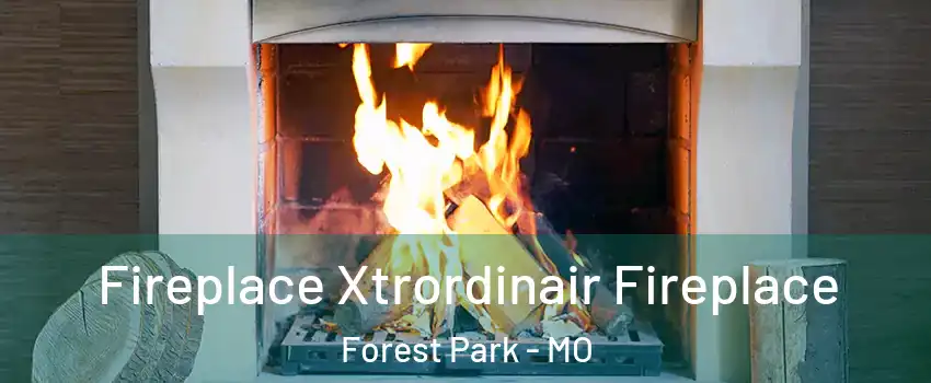 Fireplace Xtrordinair Fireplace Forest Park - MO
