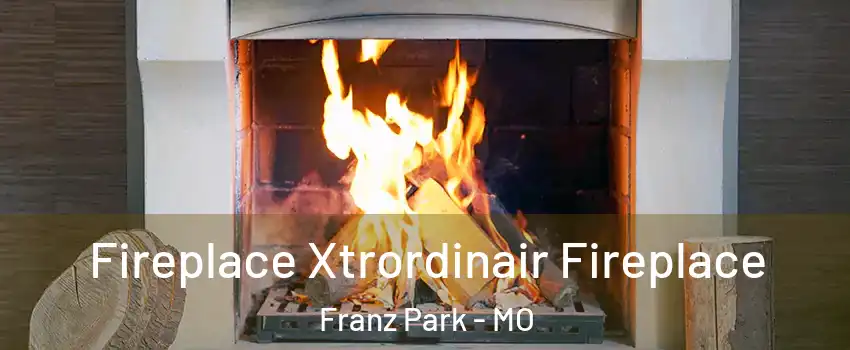Fireplace Xtrordinair Fireplace Franz Park - MO
