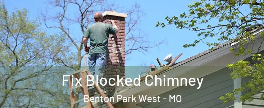 Fix Blocked Chimney Benton Park West - MO