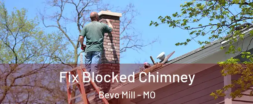 Fix Blocked Chimney Bevo Mill - MO