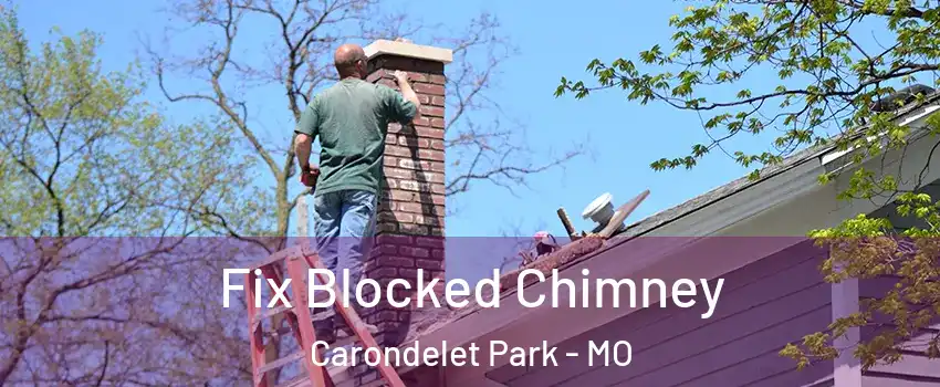 Fix Blocked Chimney Carondelet Park - MO