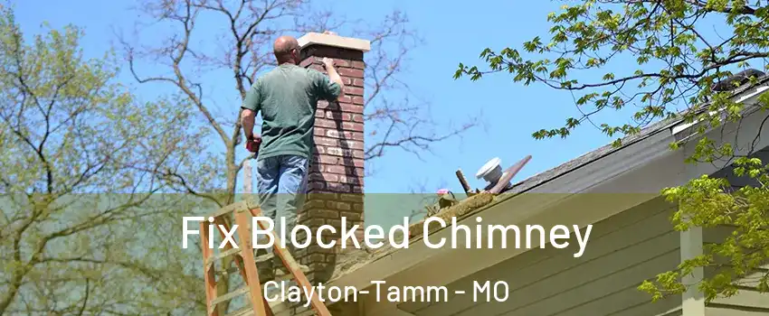 Fix Blocked Chimney Clayton-Tamm - MO