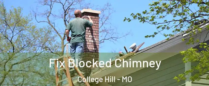 Fix Blocked Chimney College Hill - MO