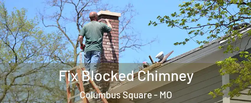 Fix Blocked Chimney Columbus Square - MO