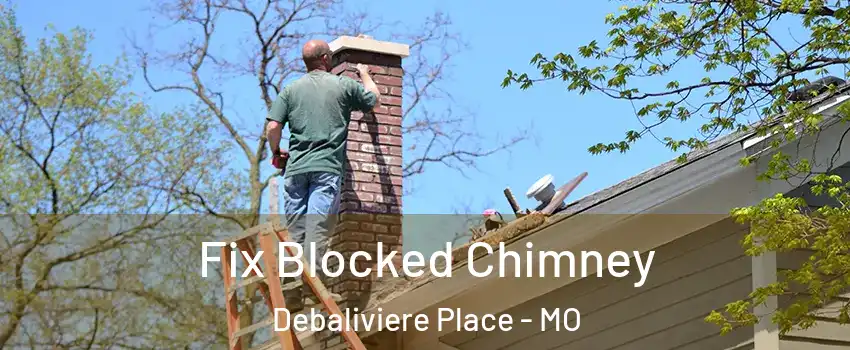 Fix Blocked Chimney Debaliviere Place - MO