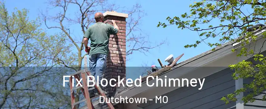 Fix Blocked Chimney Dutchtown - MO