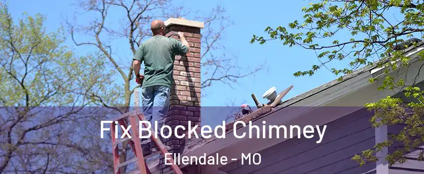 Fix Blocked Chimney Ellendale - MO