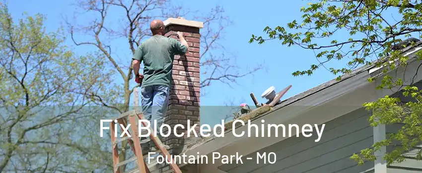 Fix Blocked Chimney Fountain Park - MO