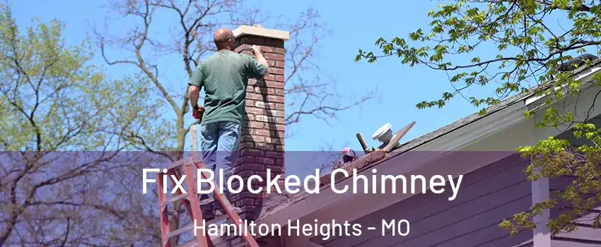 Fix Blocked Chimney Hamilton Heights - MO