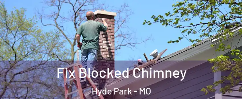 Fix Blocked Chimney Hyde Park - MO