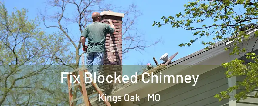 Fix Blocked Chimney Kings Oak - MO