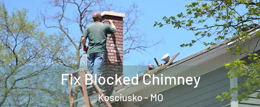 Fix Blocked Chimney Kosciusko - MO