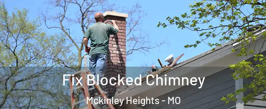 Fix Blocked Chimney Mckinley Heights - MO