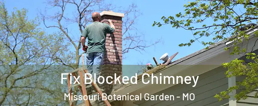 Fix Blocked Chimney Missouri Botanical Garden - MO