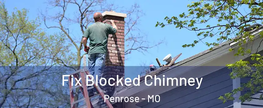 Fix Blocked Chimney Penrose - MO