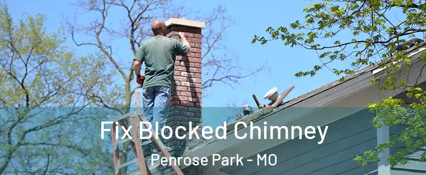 Fix Blocked Chimney Penrose Park - MO