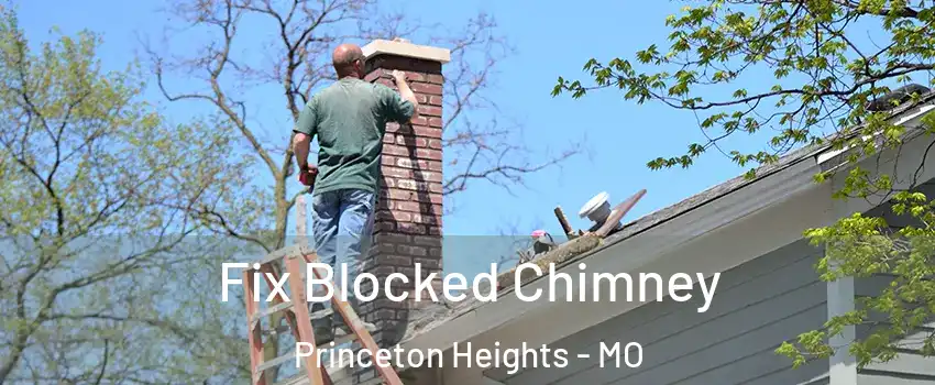 Fix Blocked Chimney Princeton Heights - MO