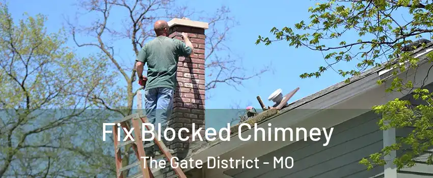 Fix Blocked Chimney The Gate District - MO