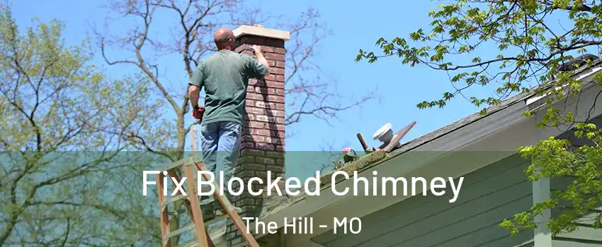 Fix Blocked Chimney The Hill - MO