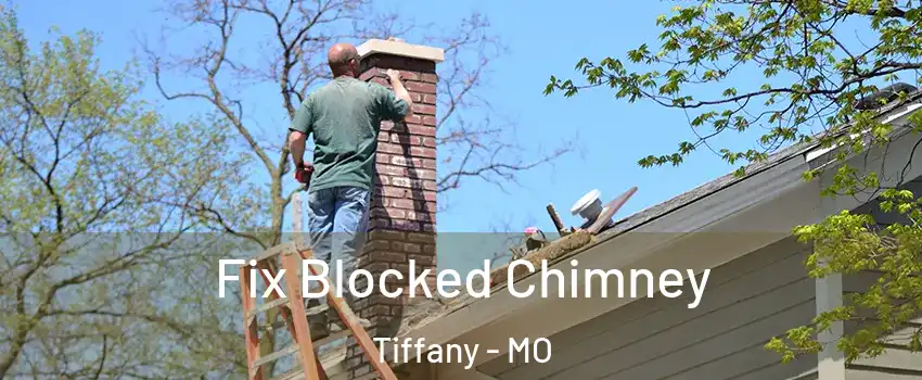 Fix Blocked Chimney Tiffany - MO