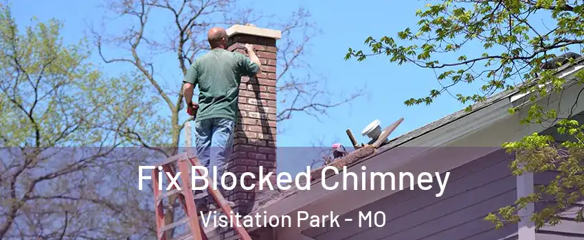 Fix Blocked Chimney Visitation Park - MO