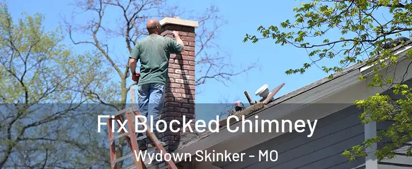 Fix Blocked Chimney Wydown Skinker - MO