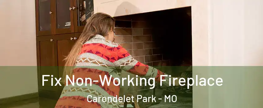 Fix Non-Working Fireplace Carondelet Park - MO