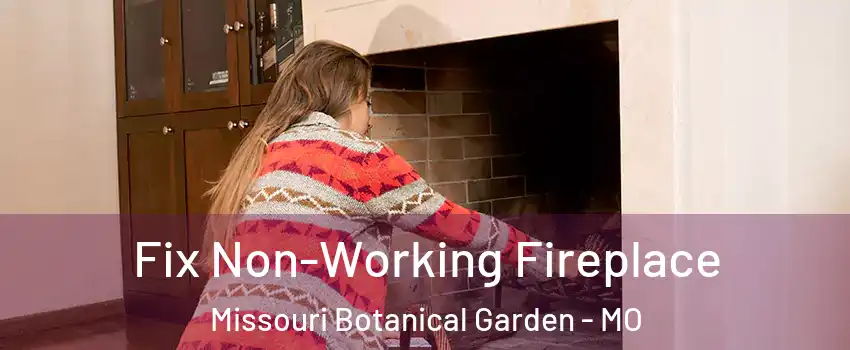 Fix Non-Working Fireplace Missouri Botanical Garden - MO