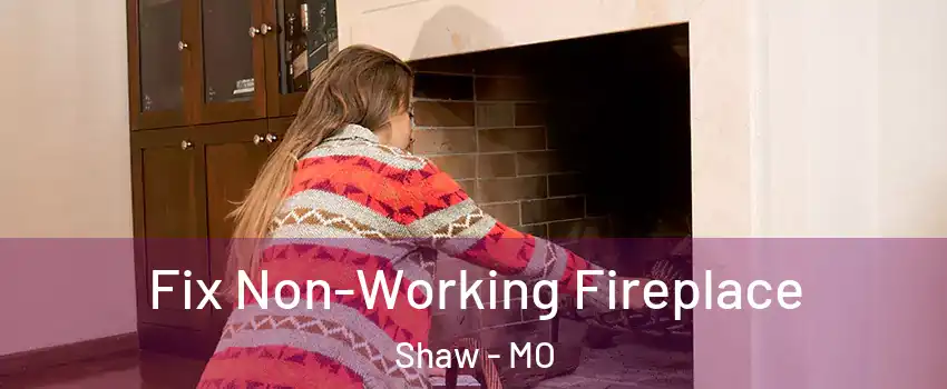Fix Non-Working Fireplace Shaw - MO
