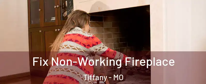 Fix Non-Working Fireplace Tiffany - MO
