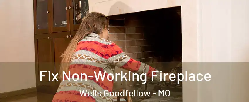 Fix Non-Working Fireplace Wells Goodfellow - MO