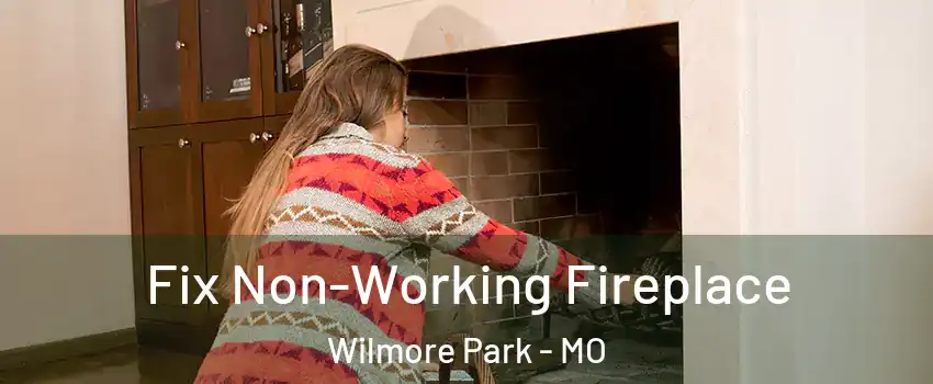 Fix Non-Working Fireplace Wilmore Park - MO