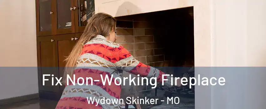 Fix Non-Working Fireplace Wydown Skinker - MO