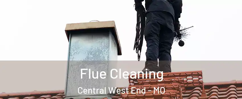Flue Cleaning Central West End - MO