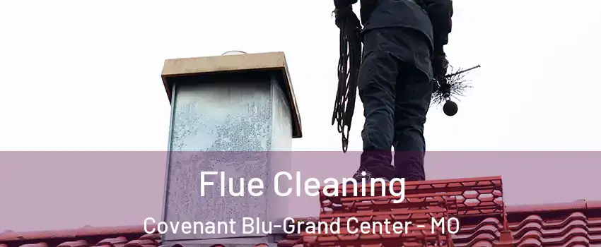 Flue Cleaning Covenant Blu-Grand Center - MO