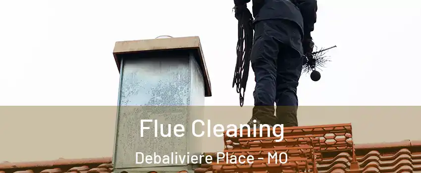 Flue Cleaning Debaliviere Place - MO