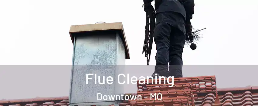 Flue Cleaning Downtown - MO