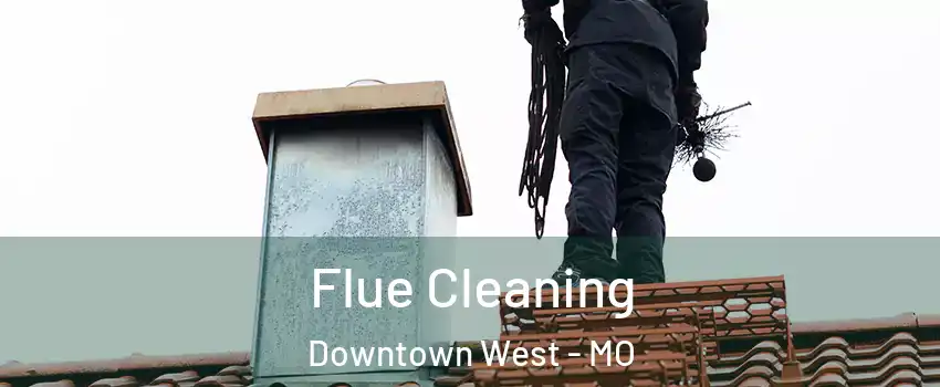 Flue Cleaning Downtown West - MO