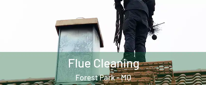 Flue Cleaning Forest Park - MO