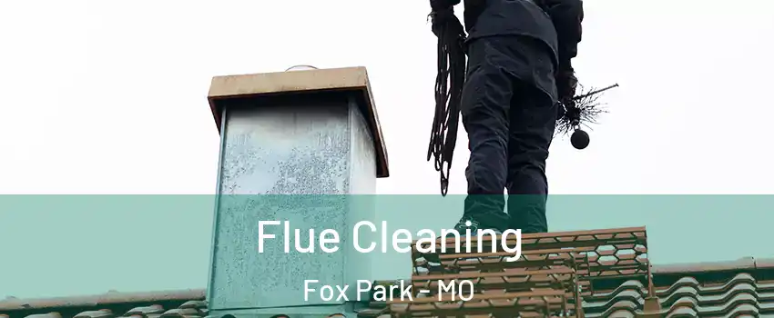 Flue Cleaning Fox Park - MO