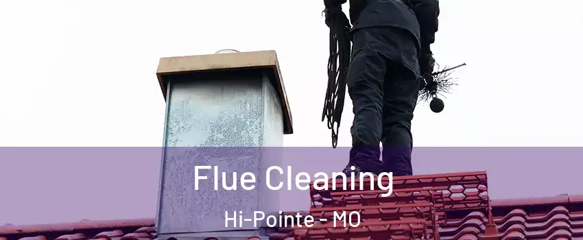 Flue Cleaning Hi-Pointe - MO