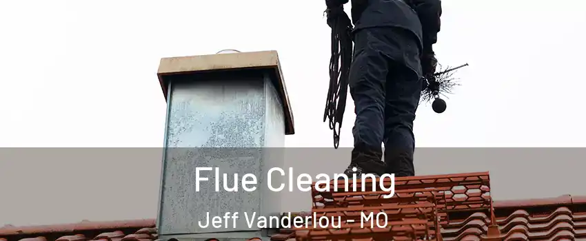 Flue Cleaning Jeff Vanderlou - MO